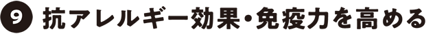 抗アレルギー効果・免疫力を高める